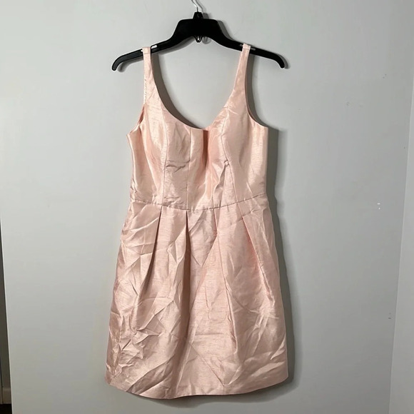 Jenny Yoo Collection Pink Blush Fit & Flare Sleeveless Dress - Picture 1 of 8